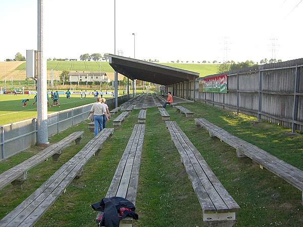stadium photo