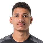 M. da Silva Liberato Silveira