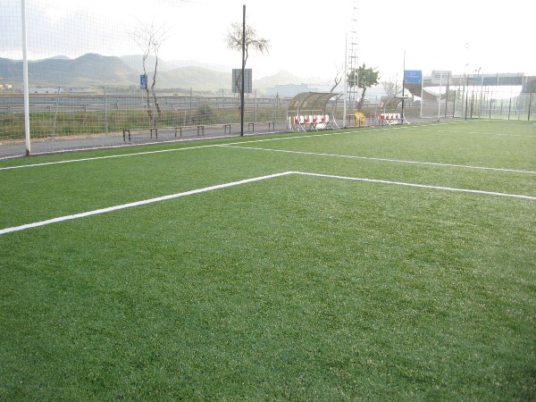 stadium photo