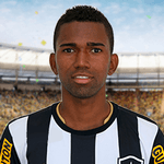 Alcides  de Souza Faria Junior